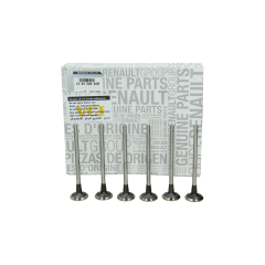 Supapă Kit 132020965R Renault