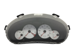 Turometru Peugeot 206 9656696380 000500610 49366