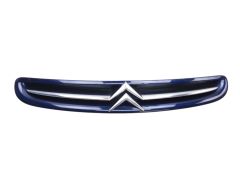 Grilă Radiator 7804J7 9632099177 Citroen Xsara Picasso 99-03 1013