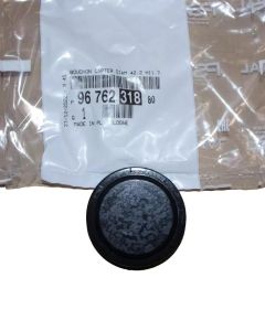 Capac Terminal Nou Original 9676231880 Citroen Peugeot