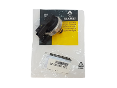 Injector GPL Renault 8200562123 Original