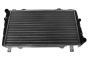 Radiator Motor 115610502 16100279001 Skoda Felicia Vika