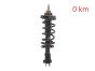 Amortizor Față 543023828R 540100864R 93463333 Renault Trafic 3 2.0 DCI