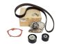 Kit curea distribuție Renault 1.9 dCi 119A04462R Nou Original