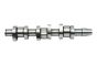 Arbore cu Came 045109101C B17862 VW Audi Seat Skoda Borsehung