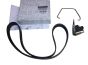 Curea de antrenare Original 117205678R Renault Dacia