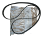 Curea Alternator Original Citroen Peugeot 206 C3 6PK1705 5750VQ